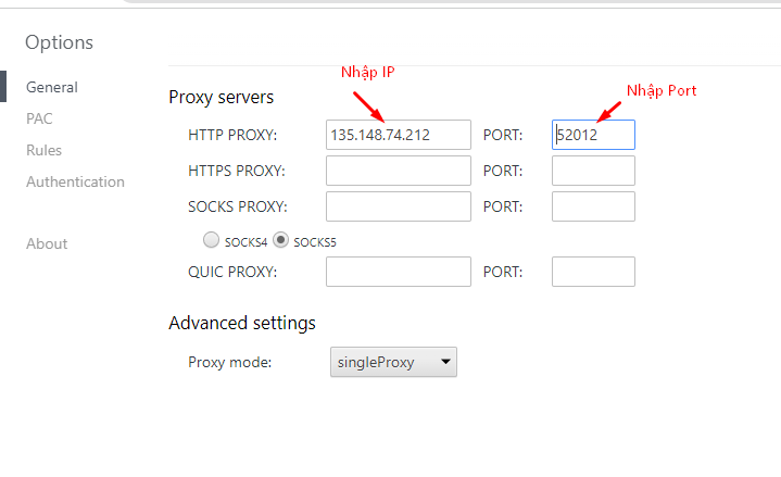 Điền IP và Port Proxy vào ô như hướng dẫn