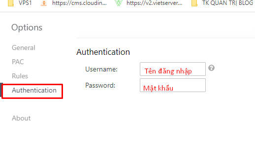 Nhấp vào Authentication để điền username và pass của Proxy vào đó
