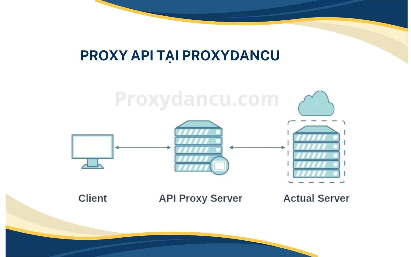 Proxy API tại Proxydancu