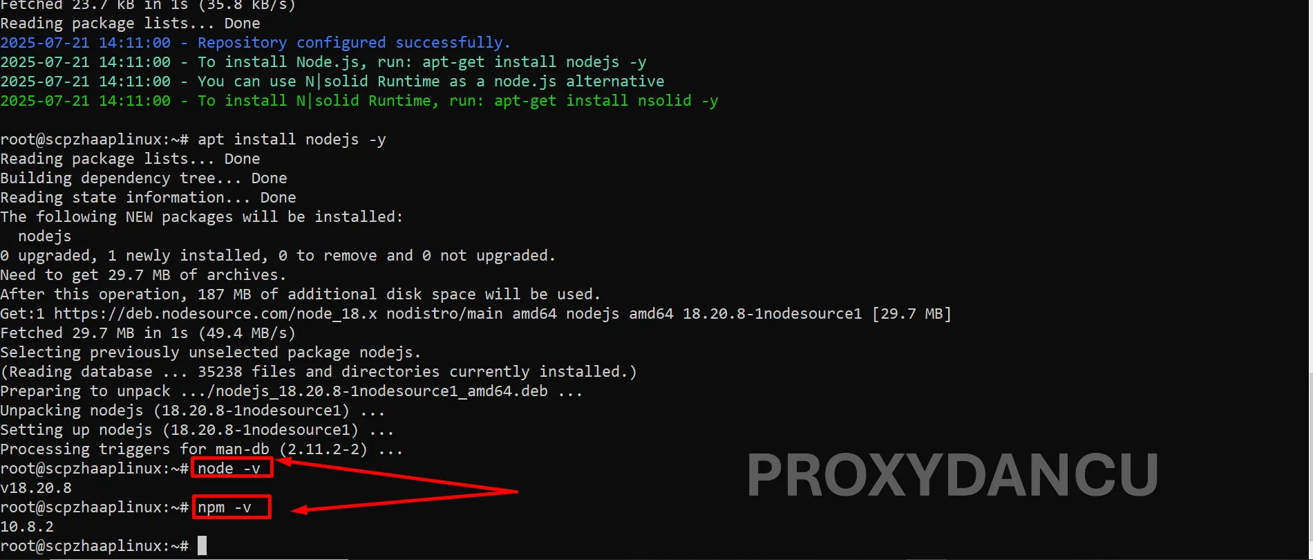 Kiểm tra phiên bản Node.js và npm