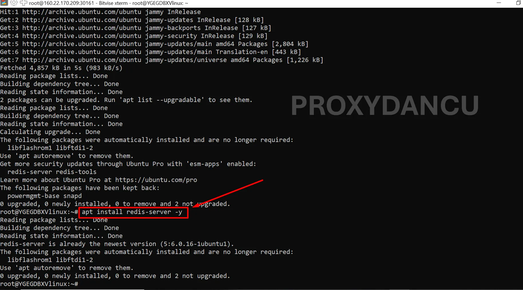 Cài đặt Redis Server trên Ubuntu 24.04