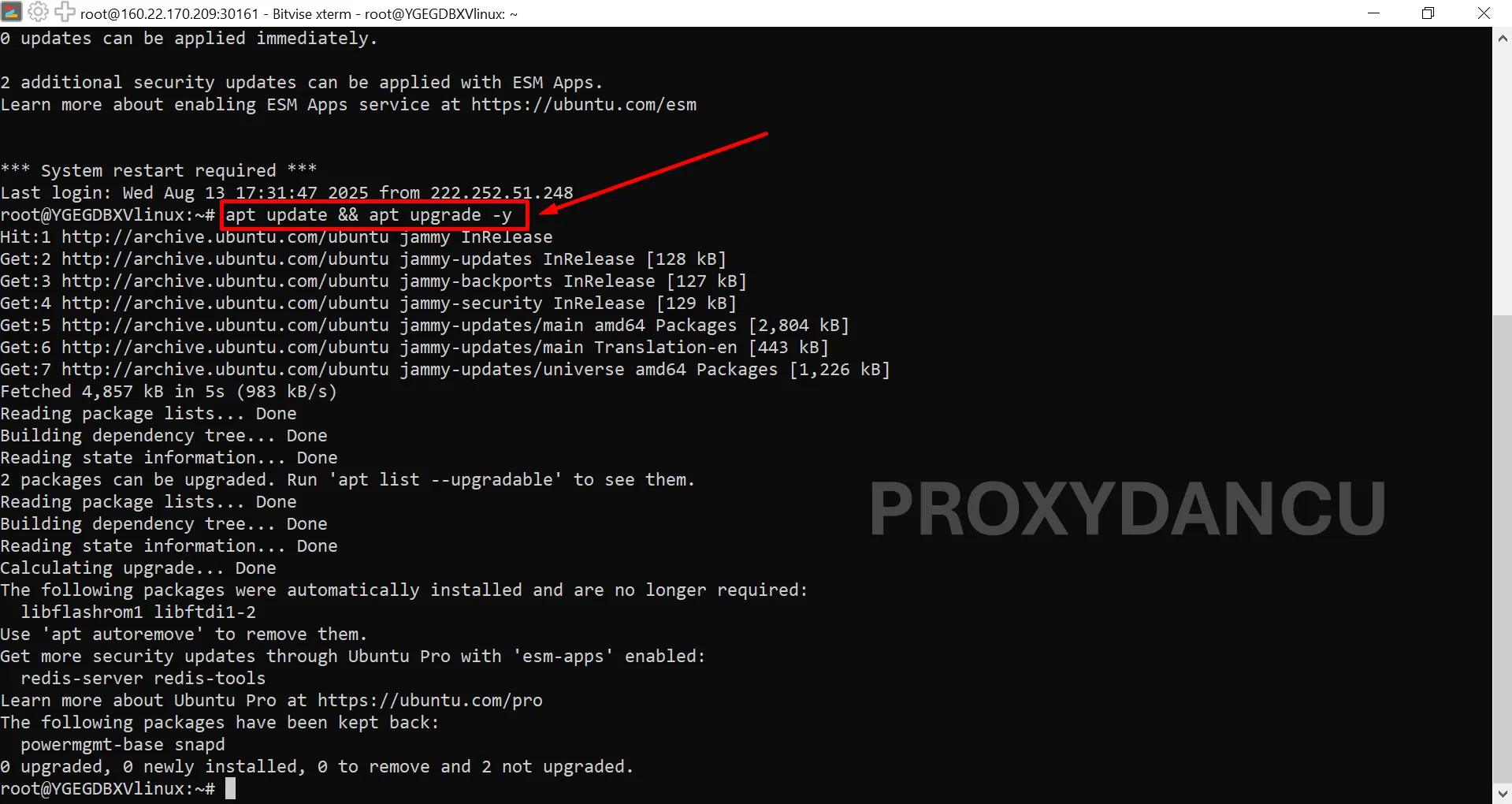 Cài đặt Redis Server trên Ubuntu 24.04