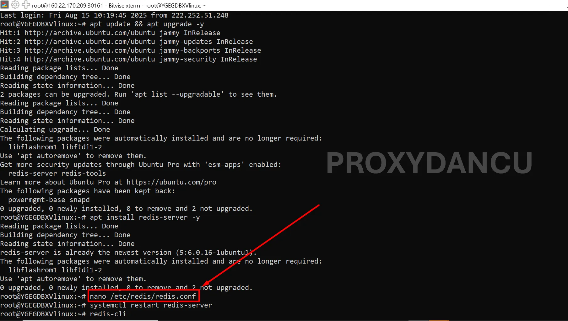 Cài đặt Redis Server trên Ubuntu 24.04
