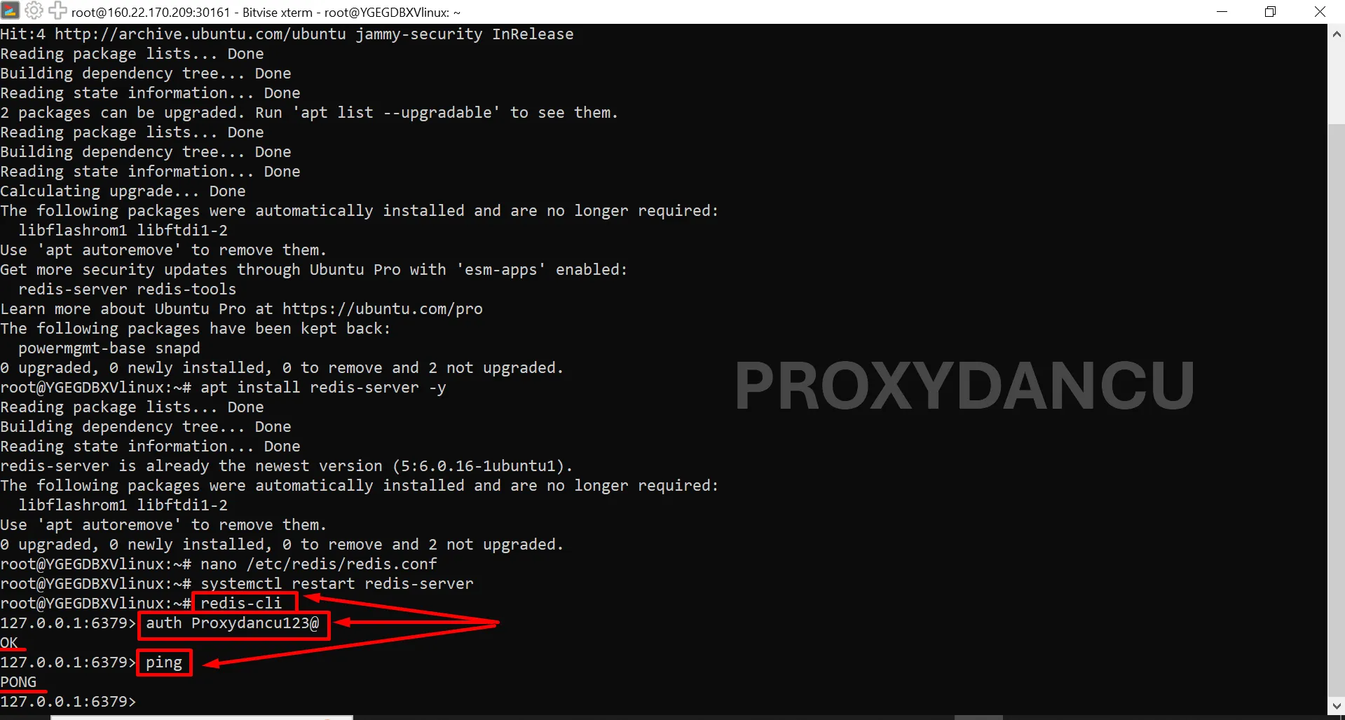 Cài đặt Redis Server trên Ubuntu 24.04