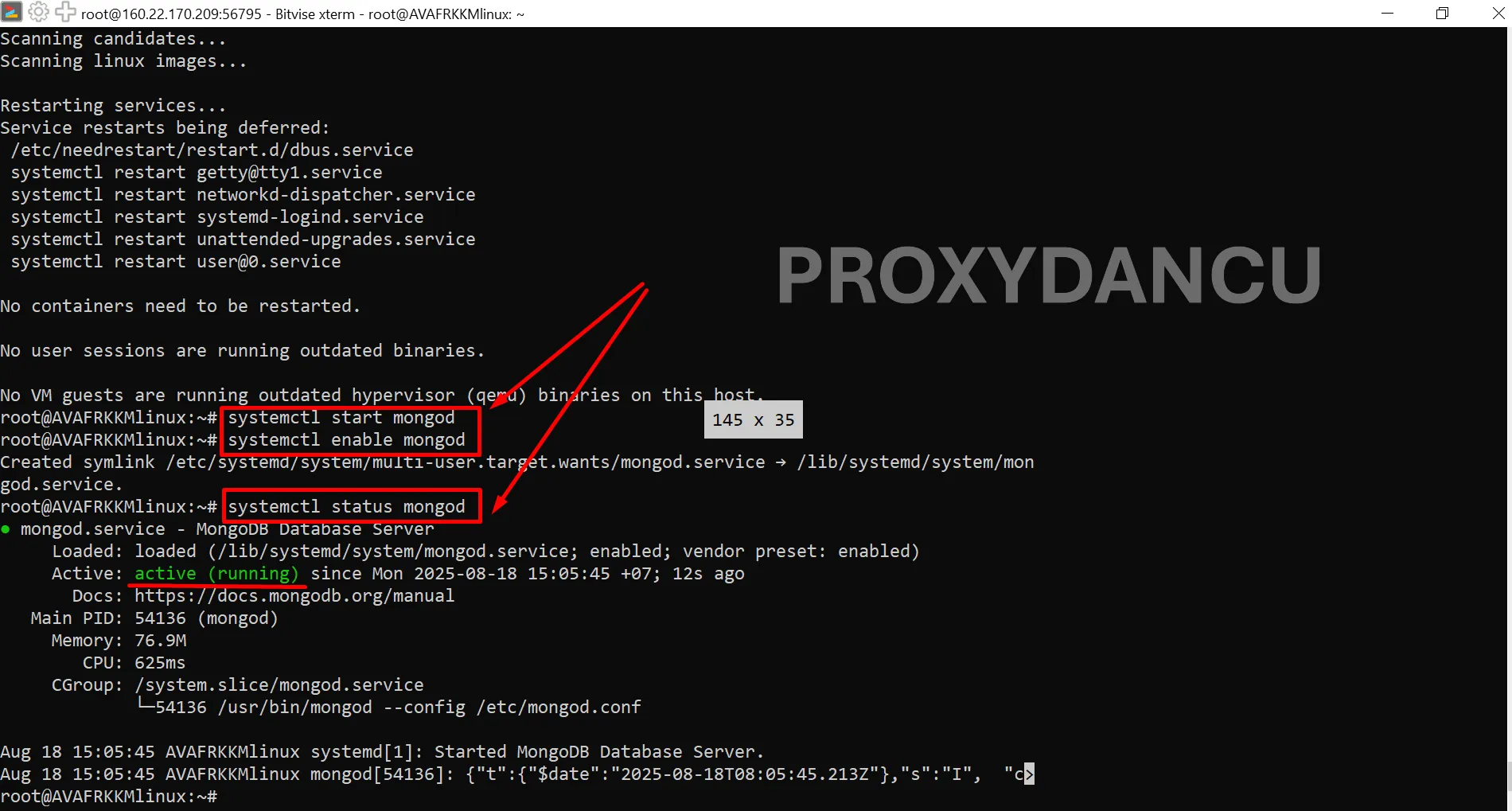 Cài đặt MongoDB trên Ubuntu 22.04